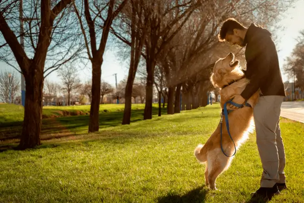 Os Maravilhosos Pets dos Homens de 40 anos